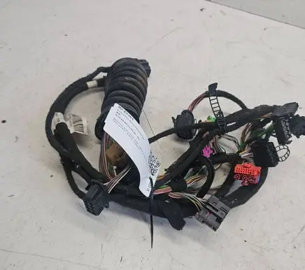 Front door wiring loom