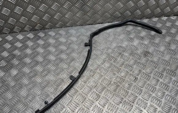 BMW X6 F16 Rear door rubber seal (on body) 7324750