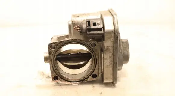 Throttle body valve