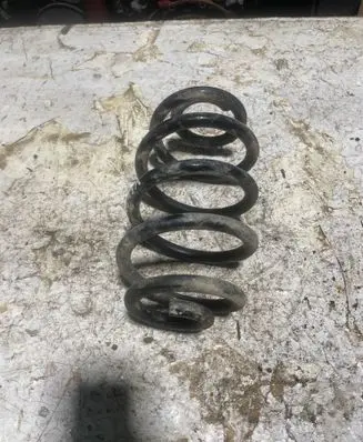 Rear coil spring