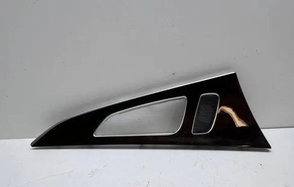 Other rear door trim element