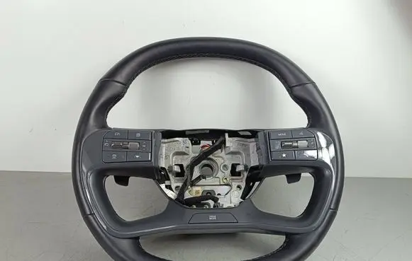 KIA EV9 Steering wheel 