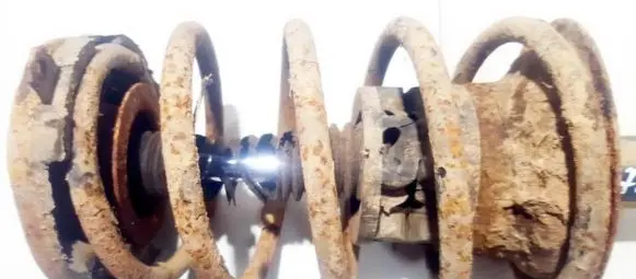 Renault Scenic I Front coil spring