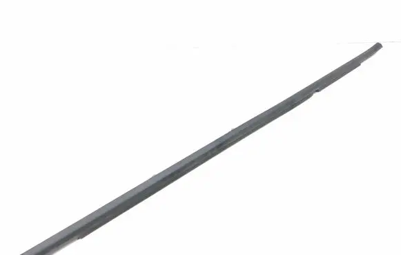 KIA Niro Rear door glass trim molding 