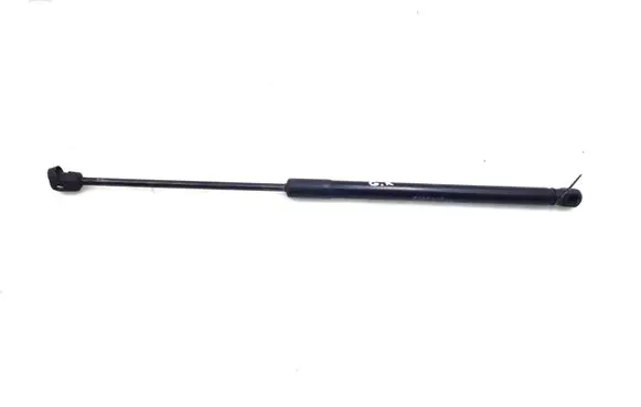 Tailgate strut