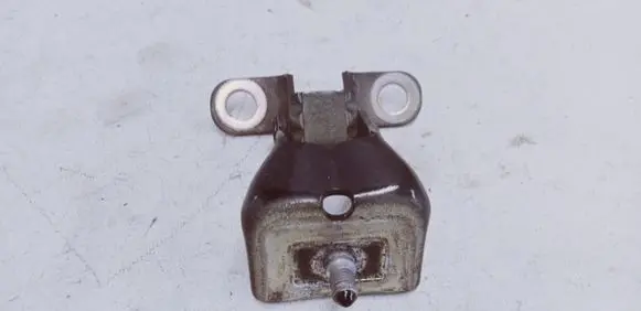 Tailgate/trunk/boot hinge