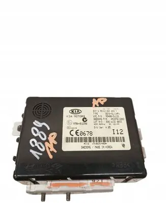 KIA Sportage Other control units/modules 