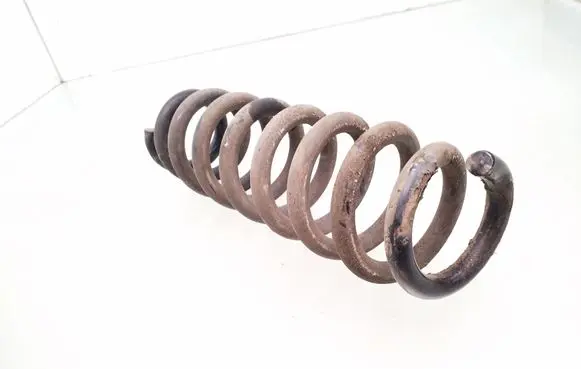 Rear coil spring