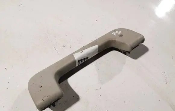 Front interior roof grab handle