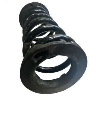 Rear coil spring