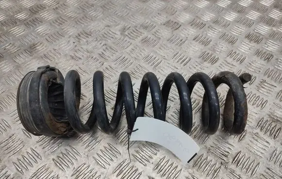 Rear coil spring