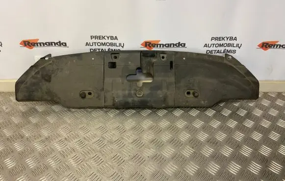 Engine bonnet/hood lock trim molding