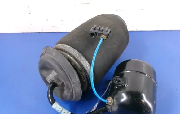 BMW X5 E53 Rear shock absorber/damper 1095579