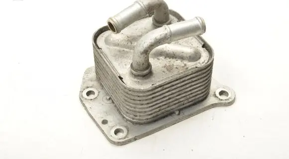 Renault Clio IV Engine oil radiator 