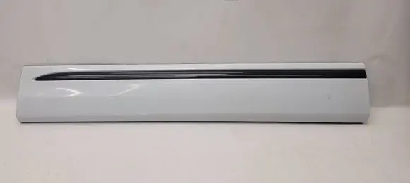 Audi Q8 Front door trim (molding) 4M8853959B