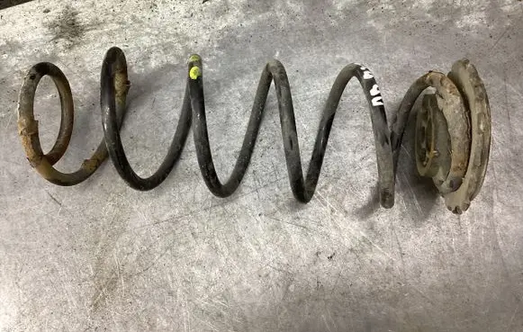 Rear coil spring