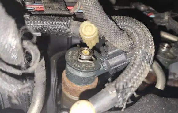 Citroen C4 I Picasso Fuel injector 0445110297