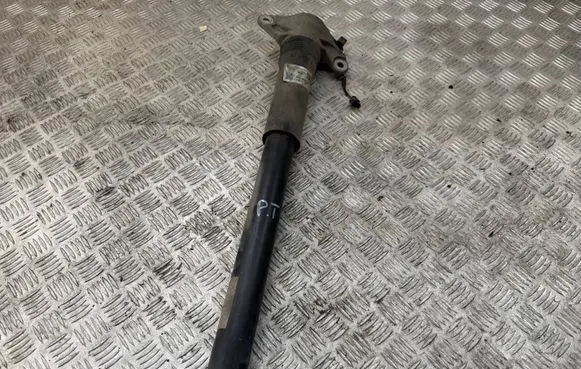 Land Rover Range Rover Velar Rear shock absorber/damper HK8314A614CB