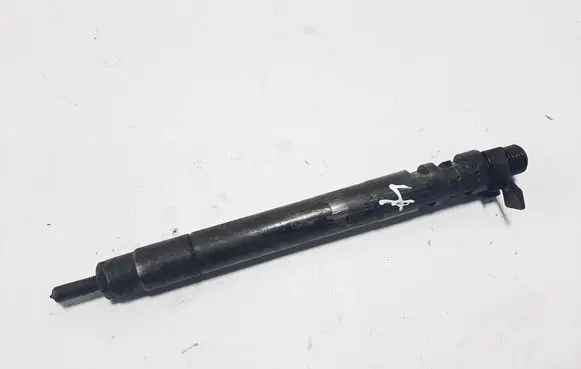 Peugeot 5008 Fuel injector 9686191080