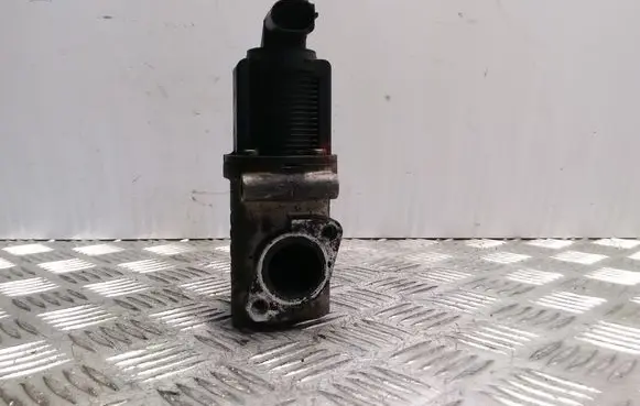 Opel Zafira B EGR valve 50024005 08T050