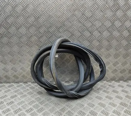 Opel Vivaro Rubber seal front coupe door 9806514880