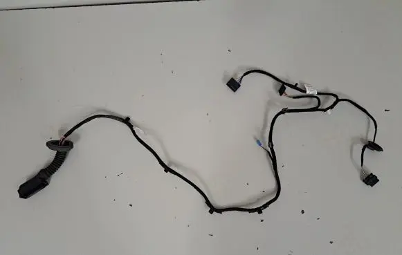 Rear door wiring loom