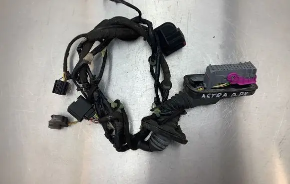 Opel Astra J Front door wiring loom 20100802 61N3801N7 13315832