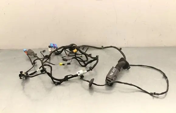 Skoda Enyaq iV Front door wiring loom 5LC971120BH