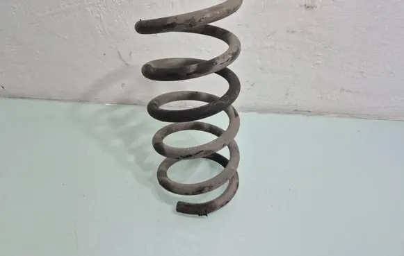 Opel Antara Rear coil spring 