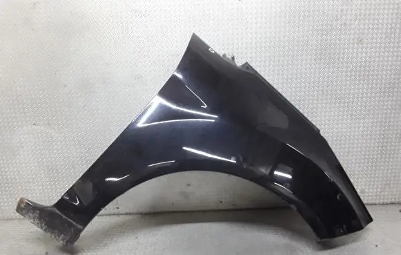Ford Fiesta Fender