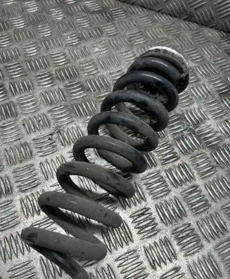Rear coil spring
