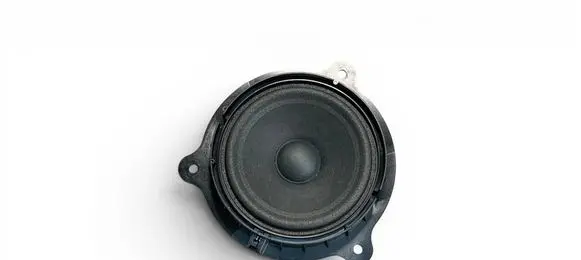 Renault Symbioz Front door speaker 281447055R 55777