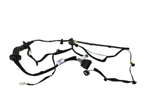Renault Trafic III (X82) Front door wiring loom 241252495R