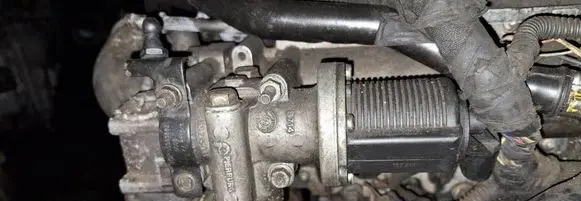 EGR valve