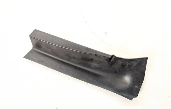 Rear/tail light trim molding