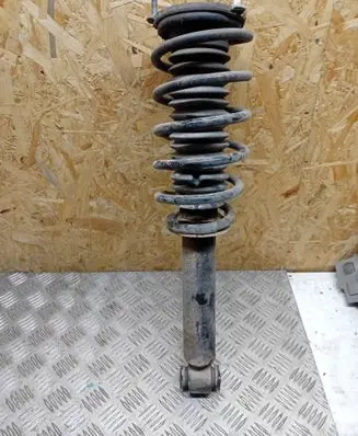 Peugeot 407 Front shock absorber with coil spring 8665