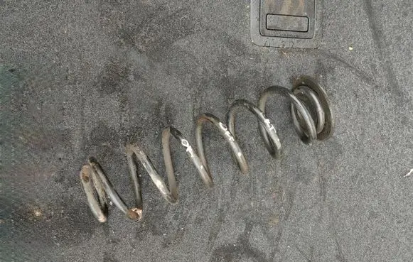 Skoda Octavia Mk3 (5E) Rear coil spring
