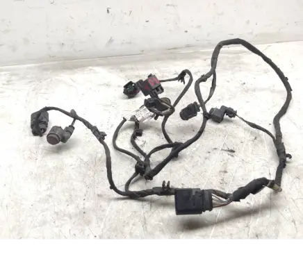 Seat Exeo (3R) Parking sensor (PDC) wiring loom 36971095 10973824 509031305
