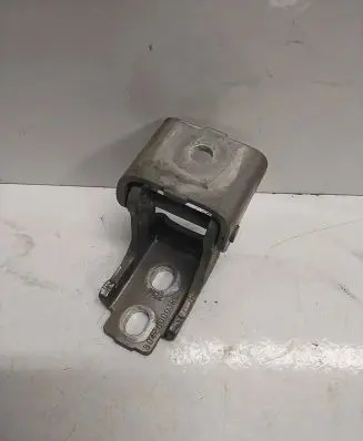 Renault Scenic III - Grand scenic III Rear door lower hinge 804200003RL