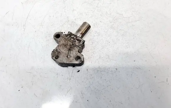 Renault Megane III Slide rail for timing chain ATC1048