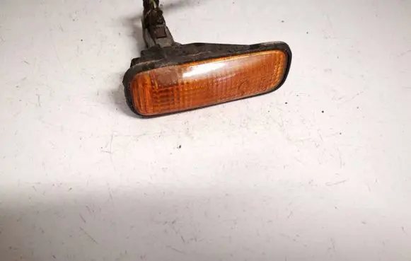 Front fender indicator light
