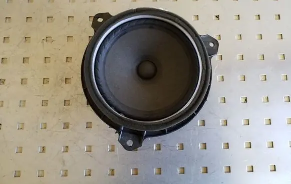 Rear door speaker