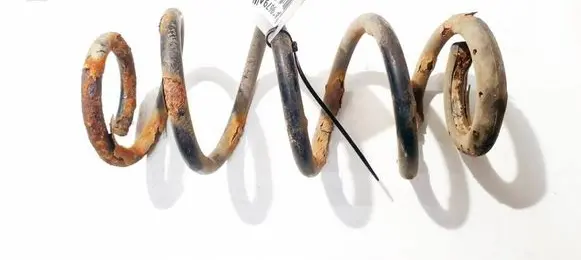 Rear coil spring