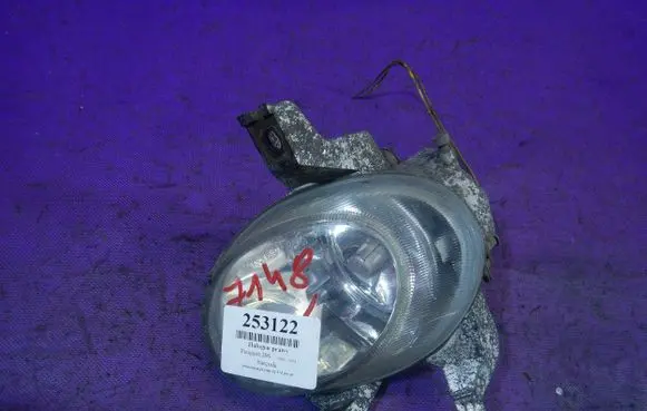 Peugeot 206 Front fog light