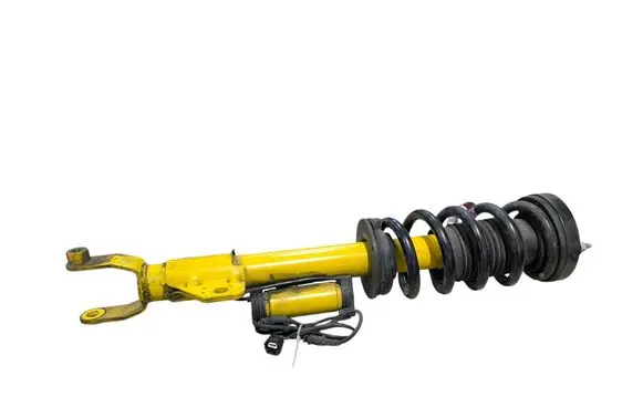Dodge Challenger Front shock absorber with coil spring 68533962AB P68533962AB 68391331AB