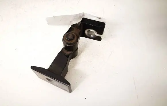 BMW 1 F20 F21 Rear door lower hinge 7246062