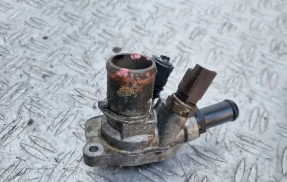 Thermostat/thermostat housing