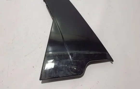 Renault Espace VI Rear door trim (molding) 822873999R