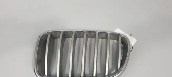 BMW X3 F25 Front bumper upper radiator grill 7210725