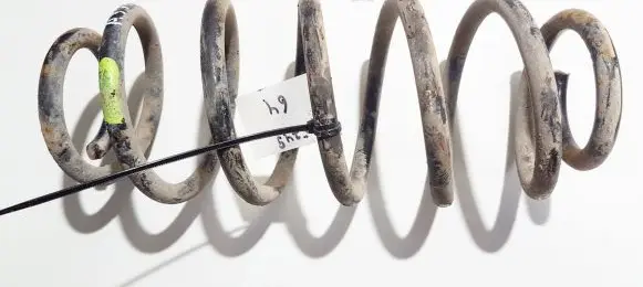 Toyota Yaris Verso Rear coil spring